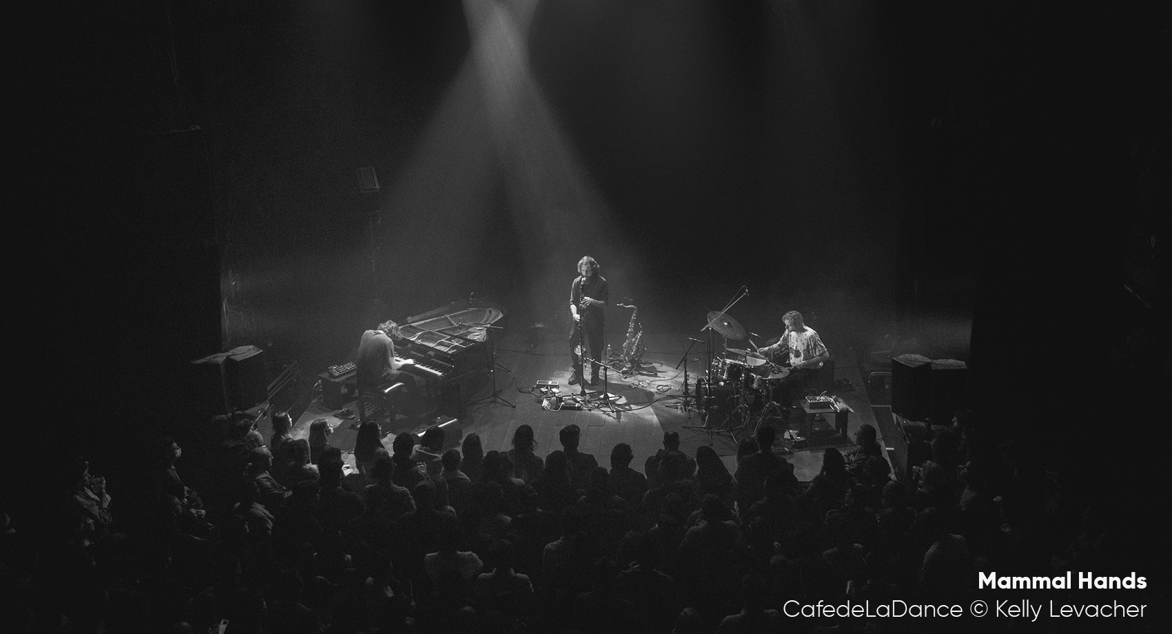 A black and white photo of a live performance of Mammal Hands with the audience in front. The pianist is on the left, saxophonist in the middle and the kit player is on the right.