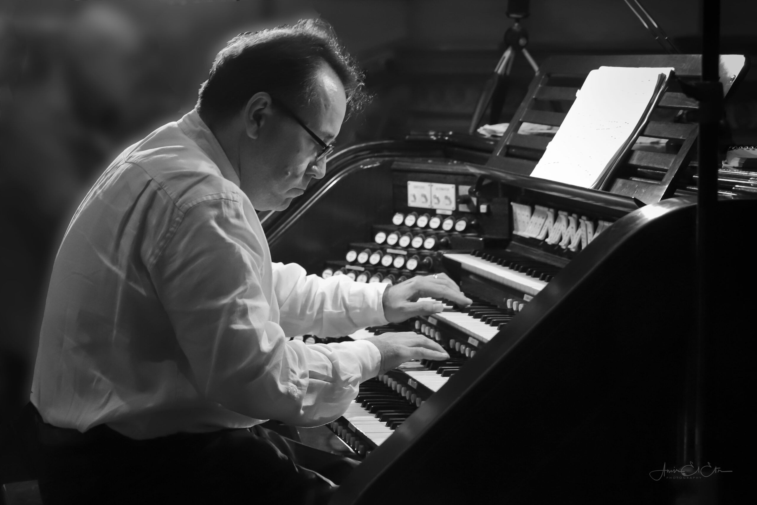 International Organ Series: David Briggs